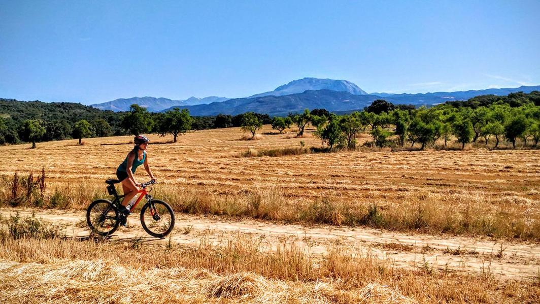 Casa Rural El Rincon Perarrua Dış mekan fotoğraf